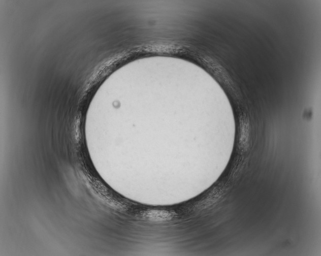X0000114560636200911301249