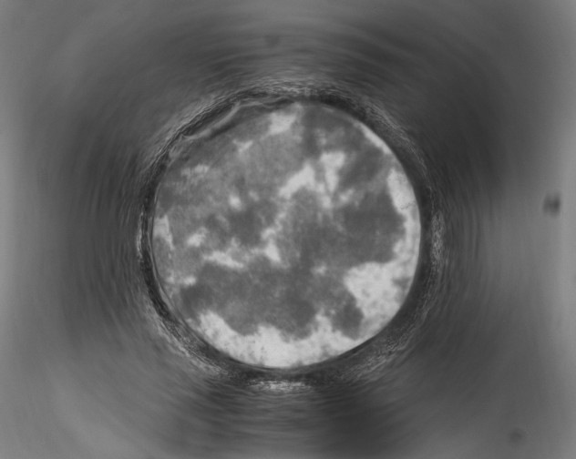 X0000114560637200911301249