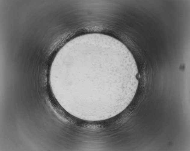 X0000114560638200911301249