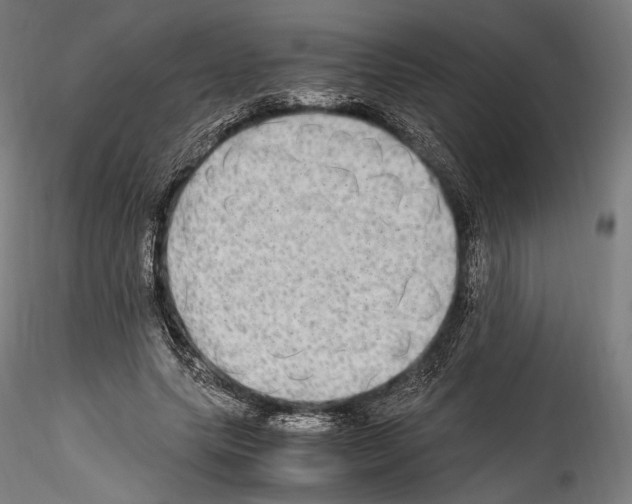 X0000114560639200911301249