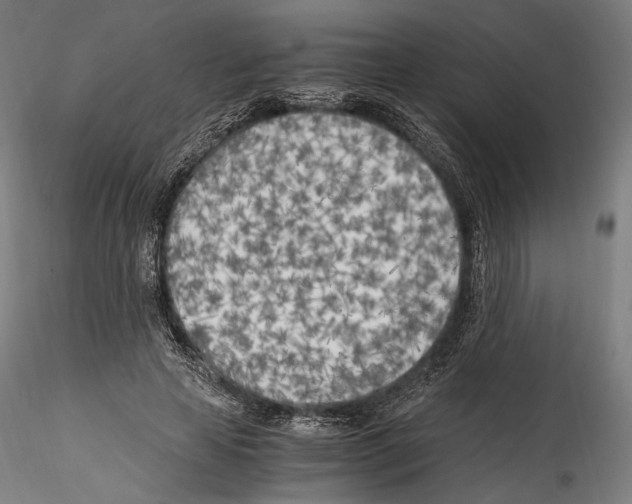 X0000114560641200911301249
