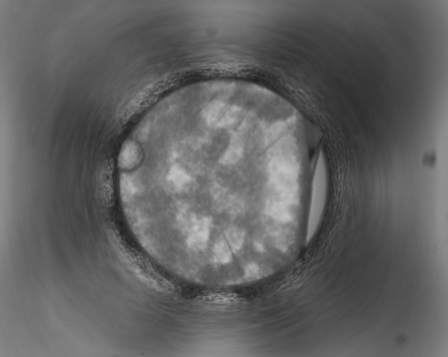 X0000114560642200911301249