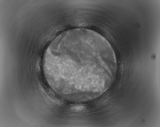 X0000114560643200911301249