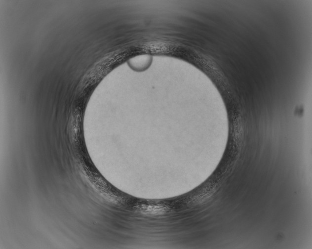 X0000114560645200911301249