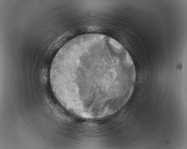 X0000114560648200911301249
