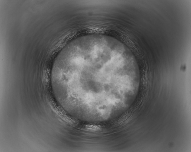 X0000114560649200911301249