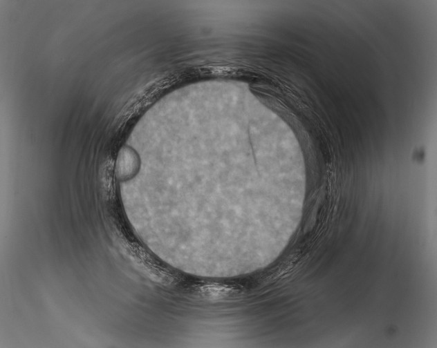 X0000114560650200911301249