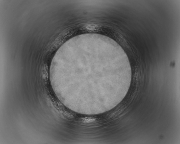 X0000114560651200911301249