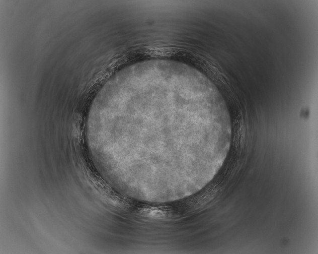 X0000114560655200911301249