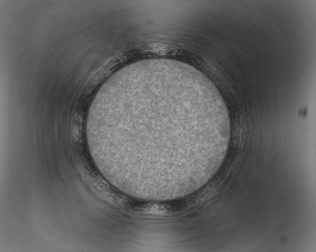 X0000114560656200911301249
