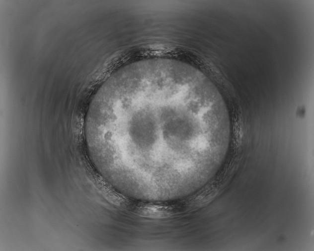X0000114560657200911301249