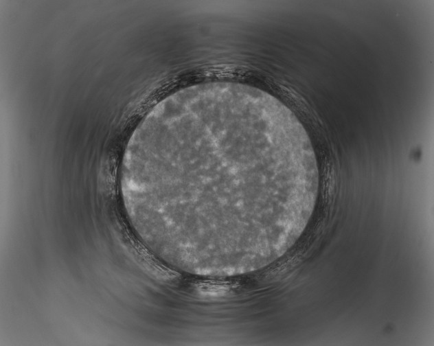 X0000114560661200911301250
