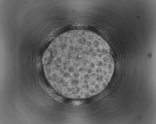 X0000114560662200911301250