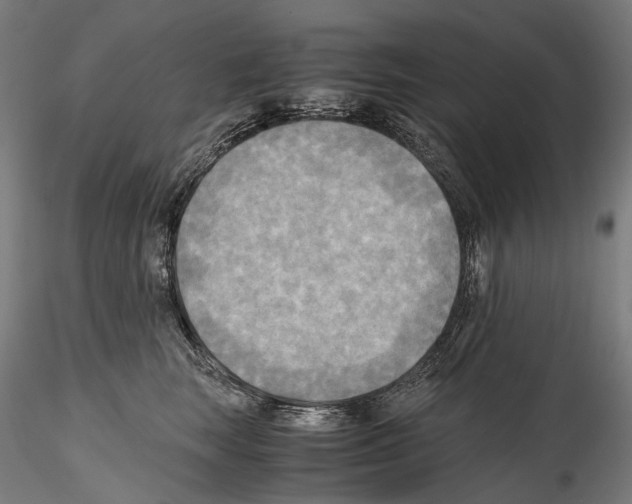 X0000114560663200911301250