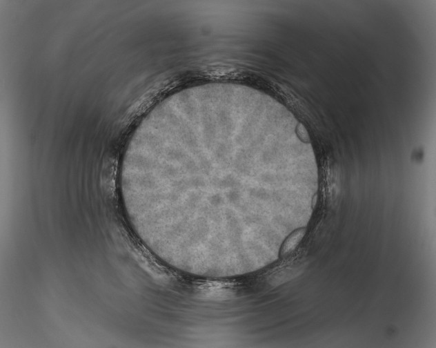 X0000114560664200911301250