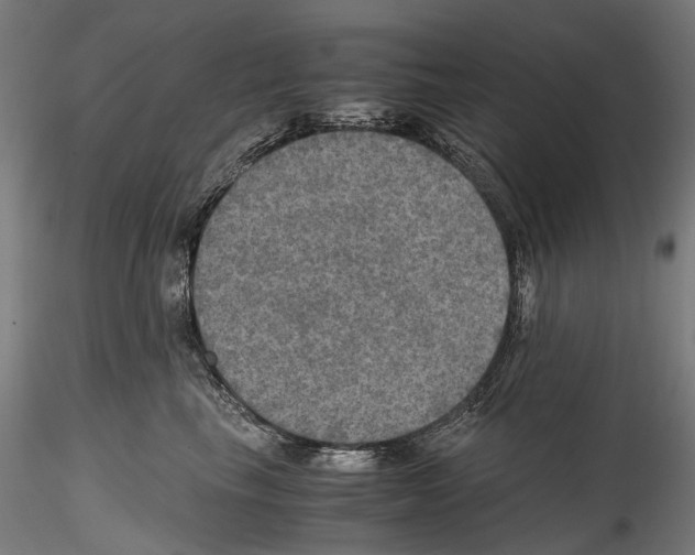 X0000114560665200911301250