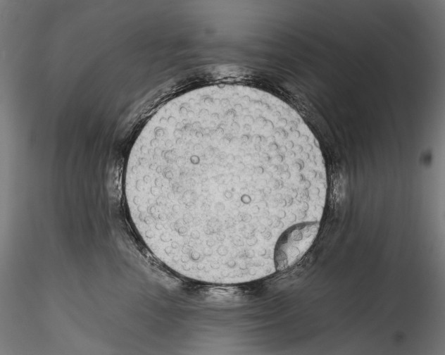 X0000114560666200911301250