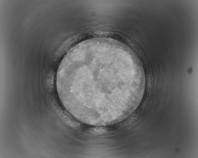 X0000114560668200911301250