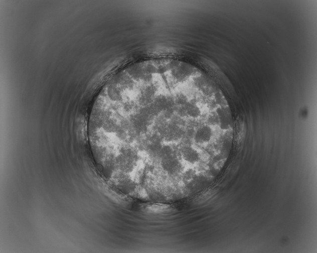 X0000114560669200911301250