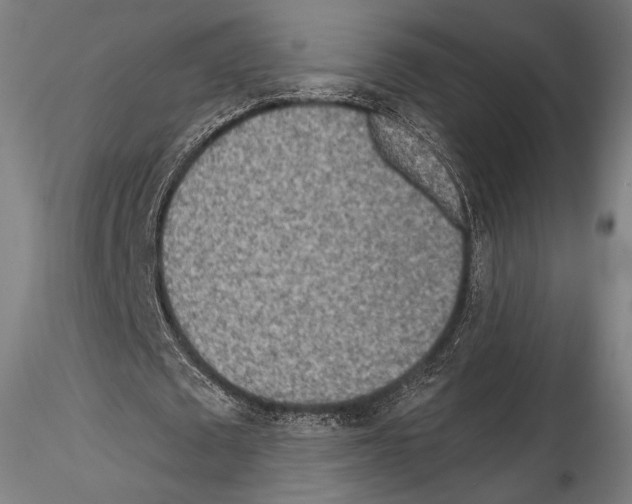 X0000114560673200911301249