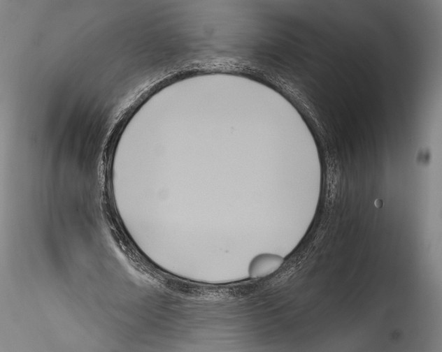 X0000114560674200911301249