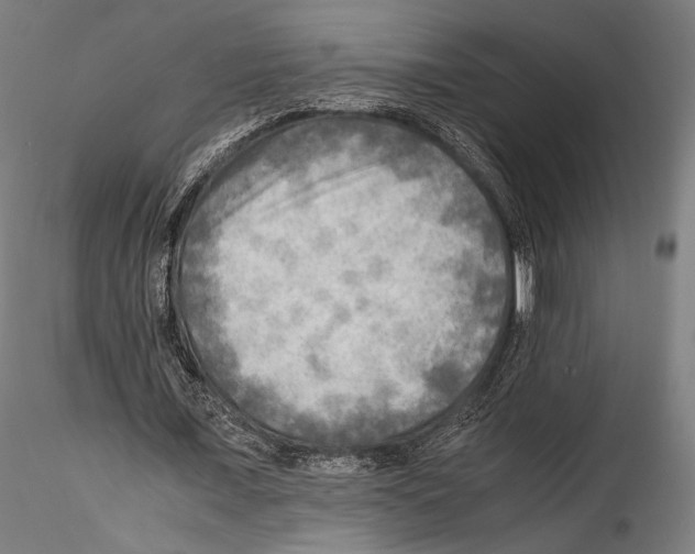 X0000114560675200911301249