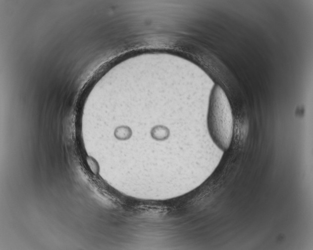 X0000114560676200911301249
