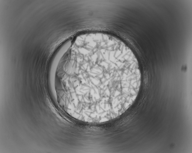 X0000114560677200911301249