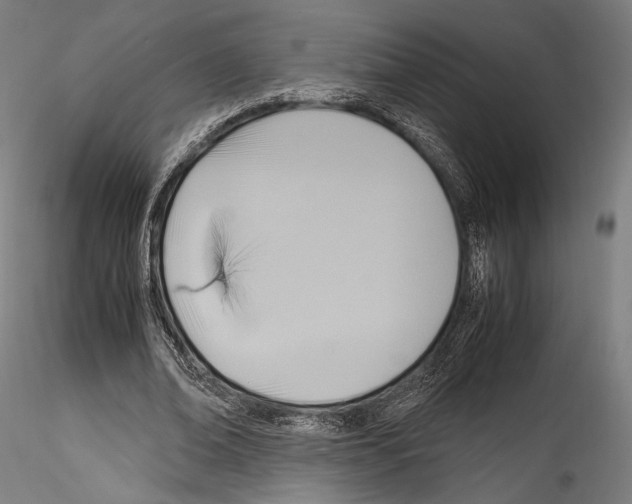 X0000114560678200911301249