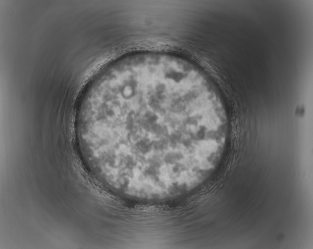 X0000114560679200911301249