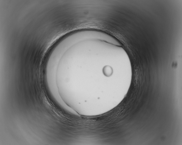X0000114560680200911301249