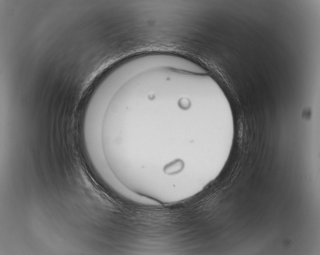 X0000114560684200911301249