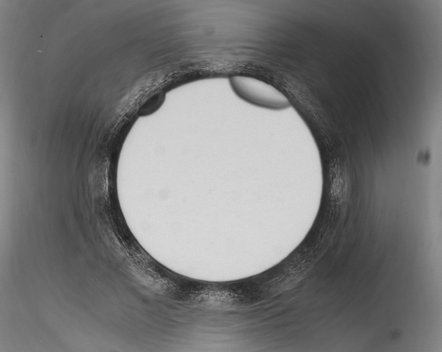 X0000114560685200911301249