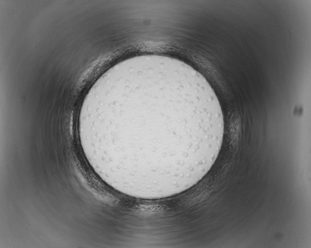 X0000114560686200911301249
