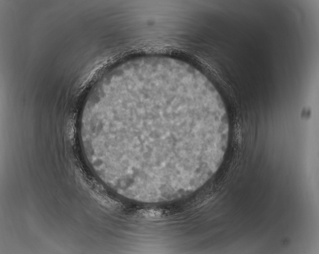 X0000114560687200911301249
