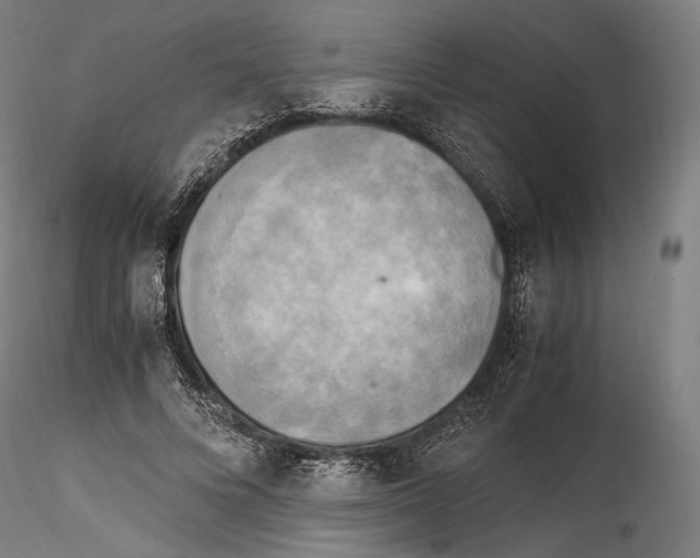 X0000114560688200911301249