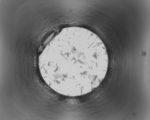 X0000114560689200911301249