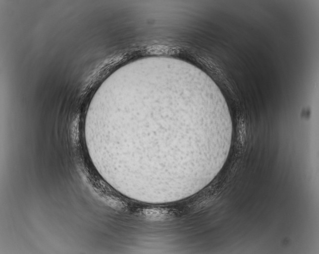 X0000114560690200911301249