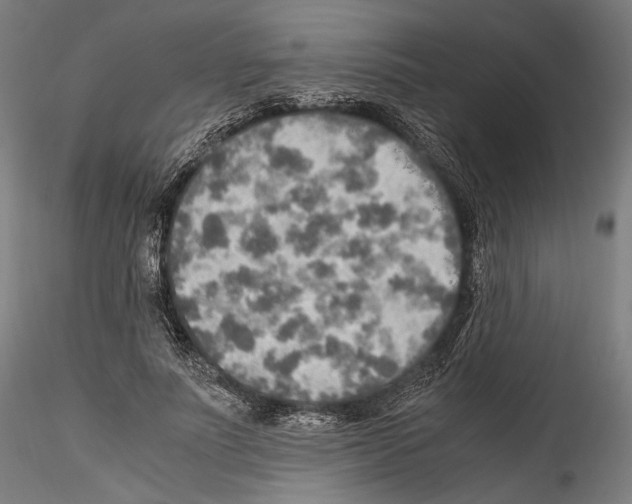 X0000114560691200911301249