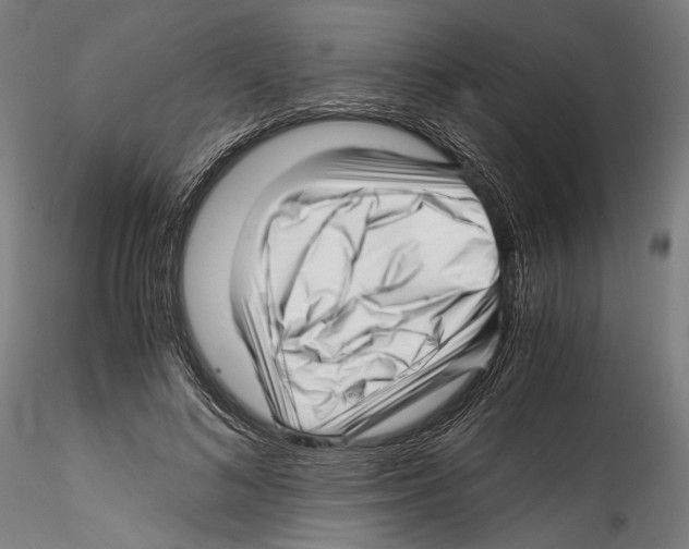X0000114560692200911301249