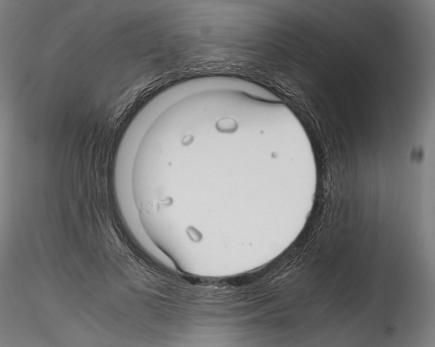 X0000114560693200911301249