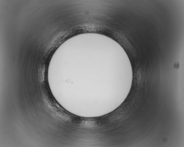 X0000114560694200911301249