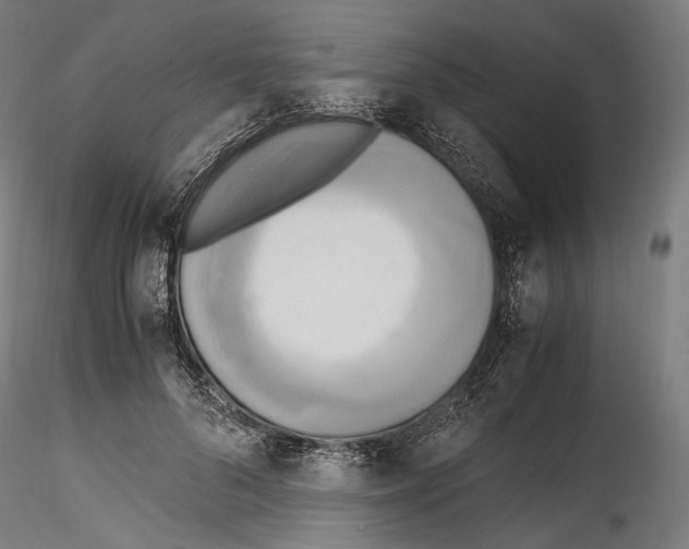 X0000114560696200911301249