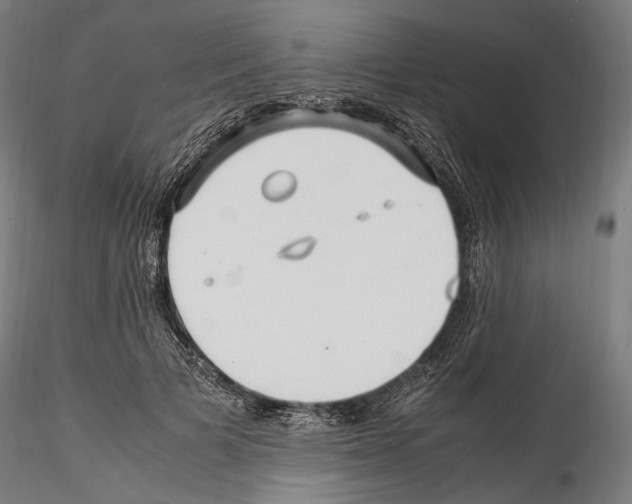 X0000114560697200911301249