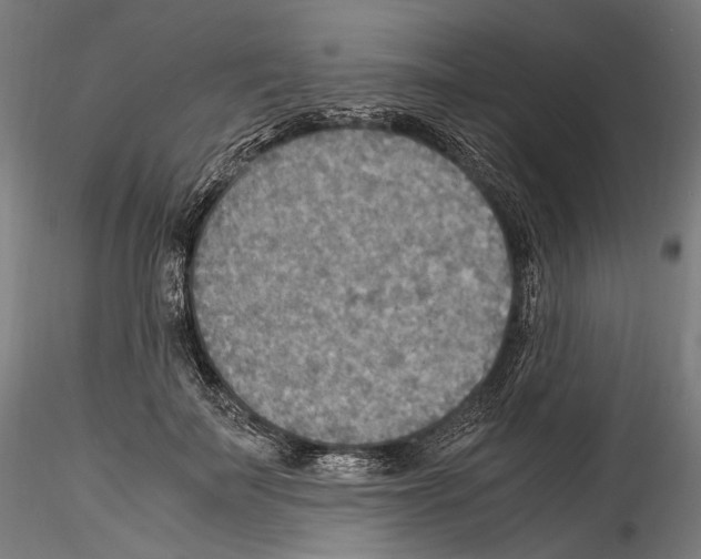 X0000114560699200911301249