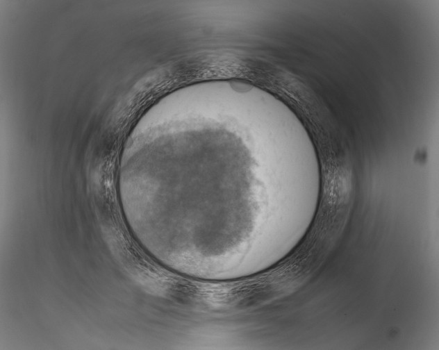 X0000114560701200911301249