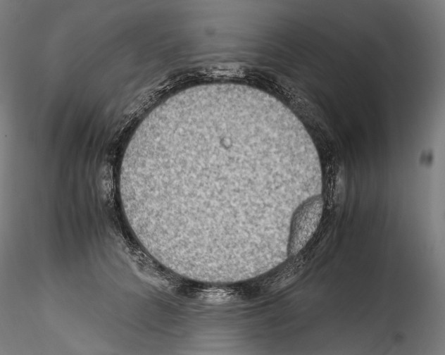 X0000114560704200911301249