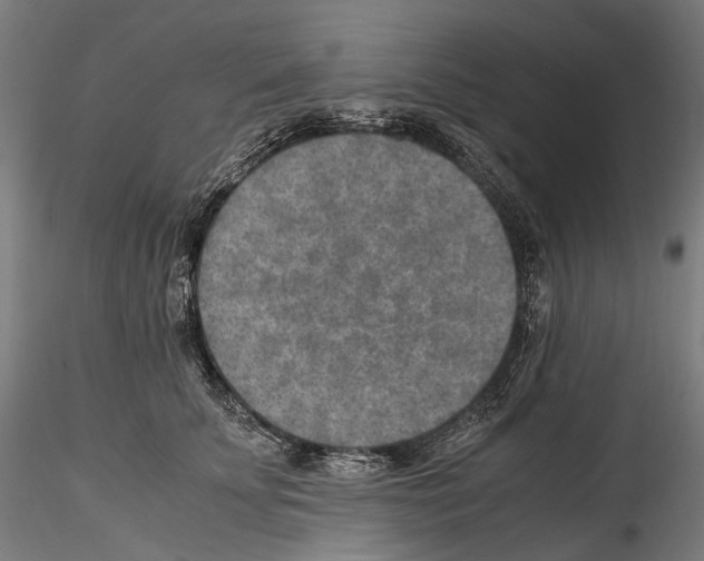 X0000114560707200911301248