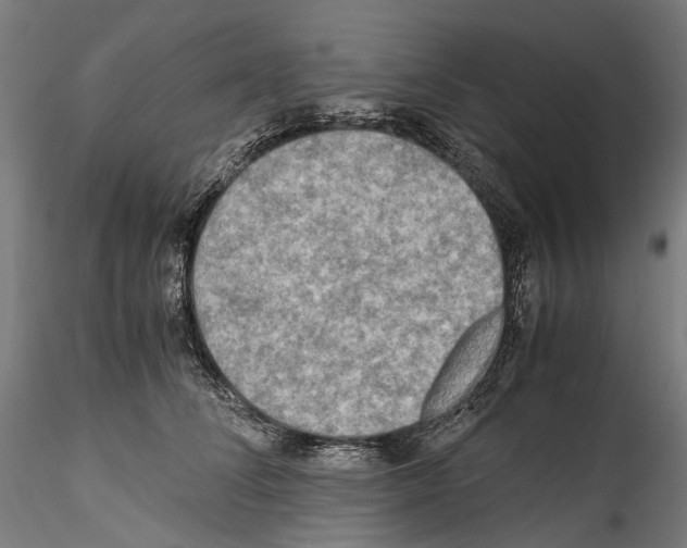 X0000114560708200911301248