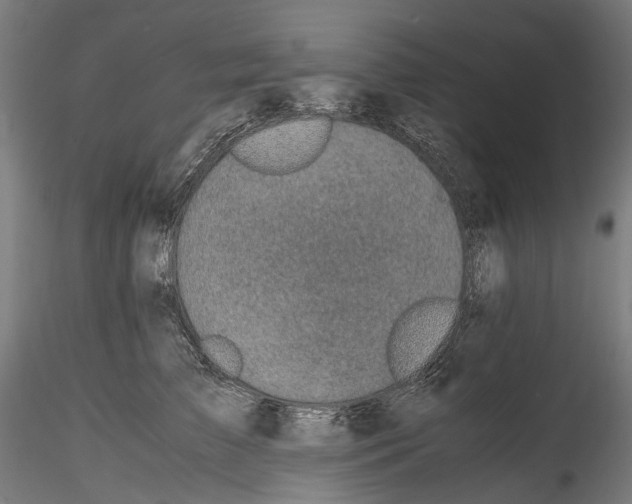 X0000114560709200911301248